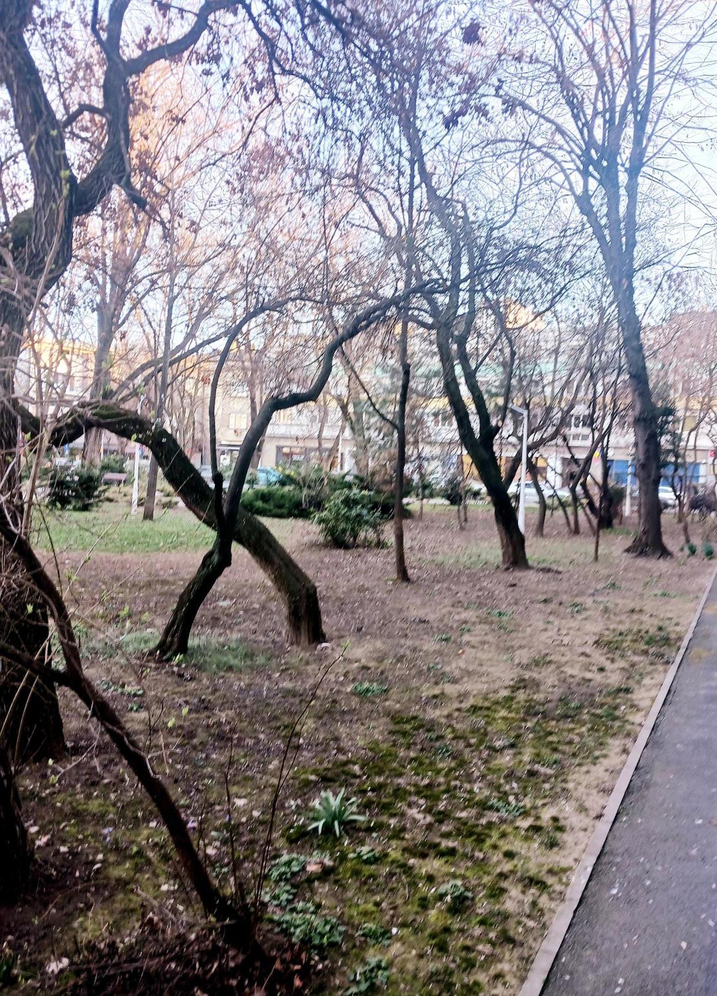 The House In The Park Bucharest Apartman Kültér fotó
