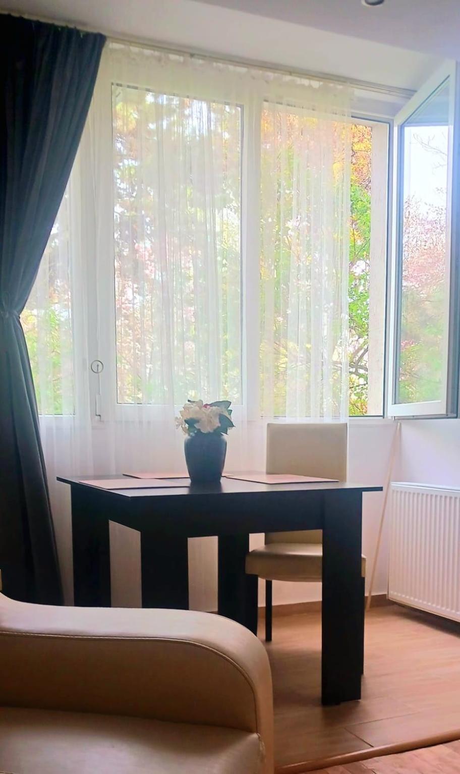 The House In The Park Bucharest Apartman Kültér fotó