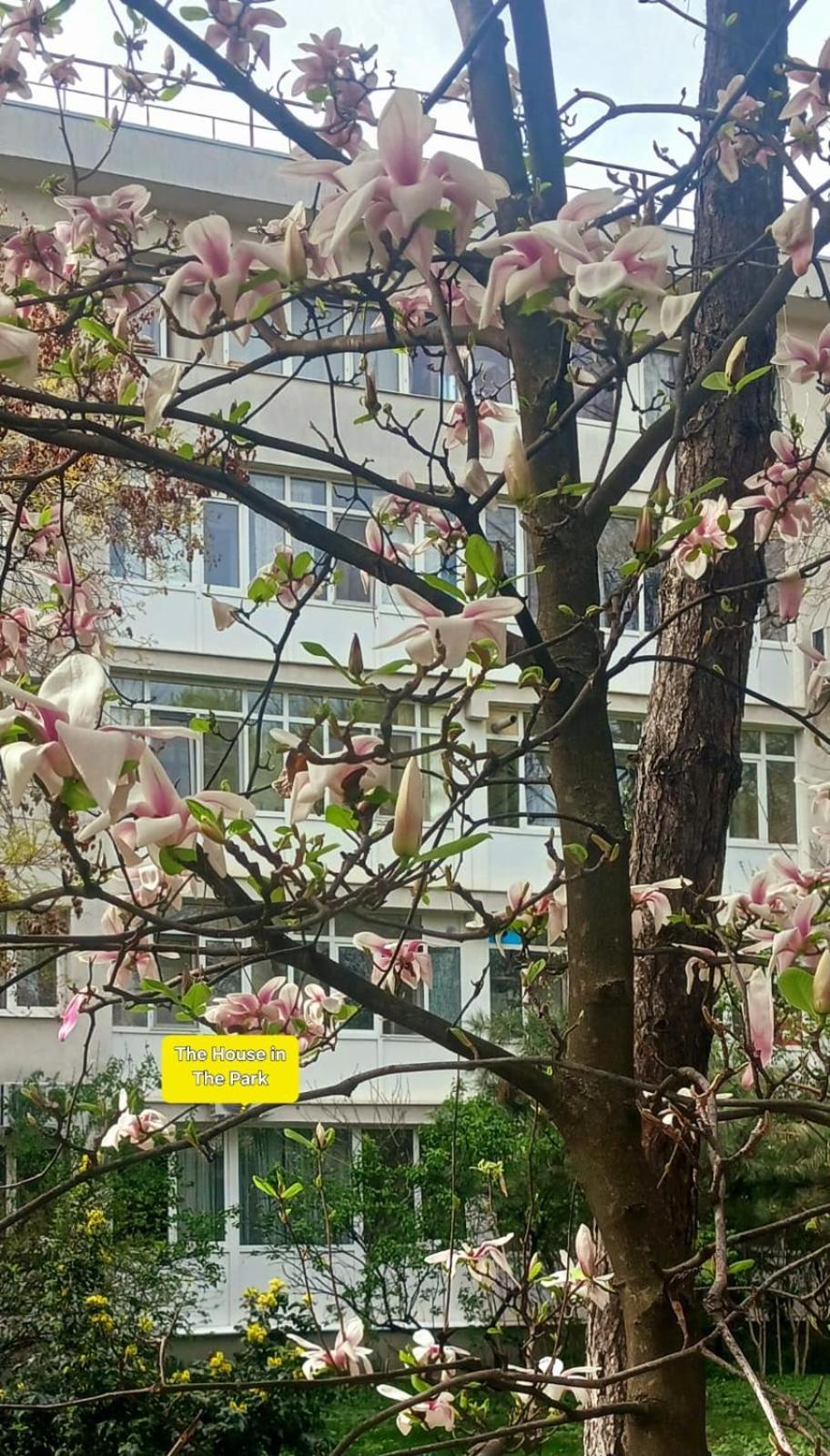 The House In The Park Bucharest Apartman Kültér fotó